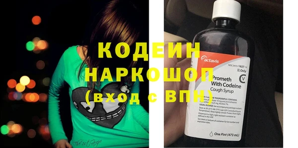шишки Абаза