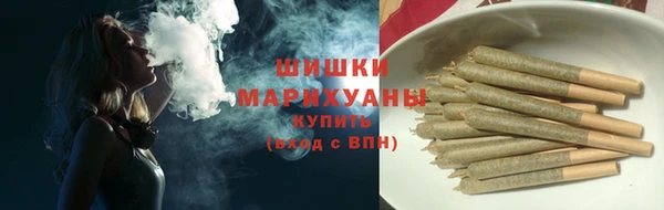 шишки Абаза