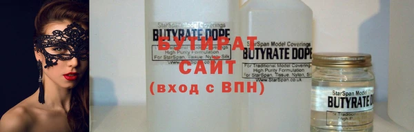 шишки Абаза