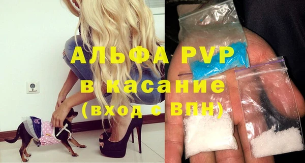 шишки Абаза