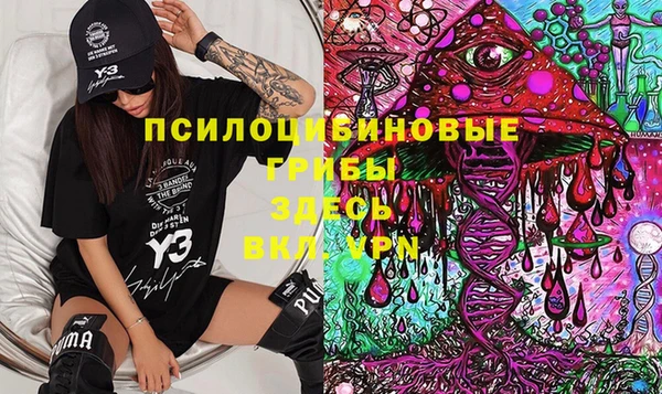 шишки Абаза