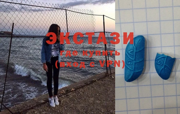 шишки Абаза