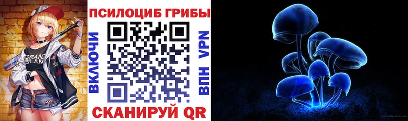 Псилоцибиновые грибы прущие грибы  купить наркоту  Красноармейск 